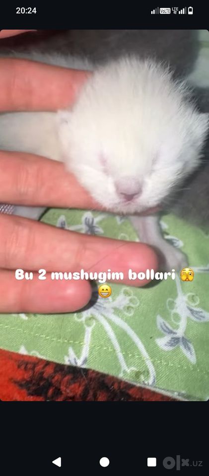 1 000 000 сум