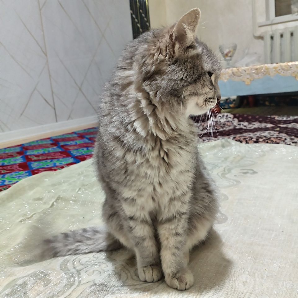 500 000 сум