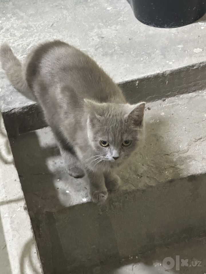900 000 сум