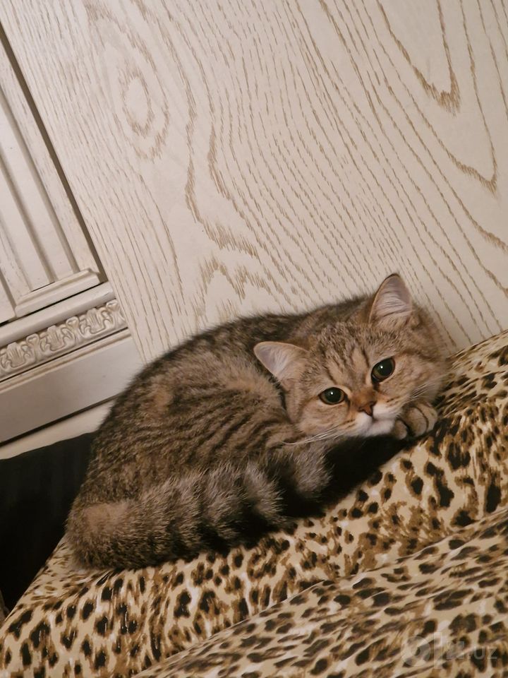 1 200 000 сум