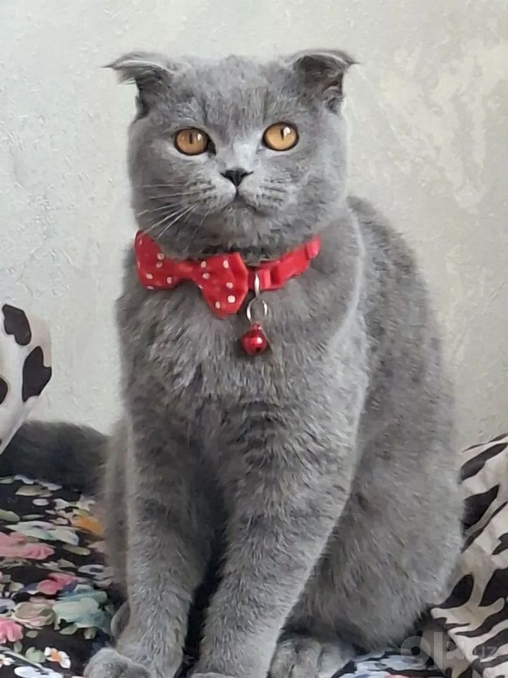 1 000 000 сум