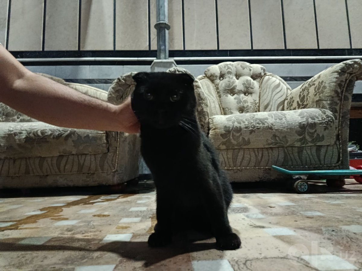 500 000 сум