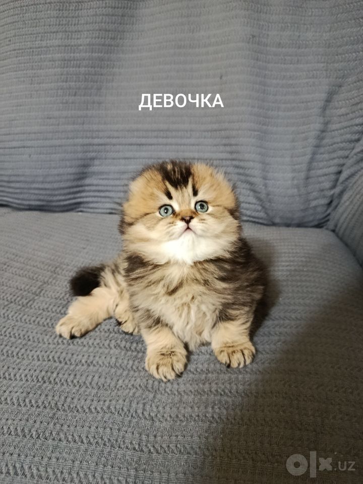 300 USD