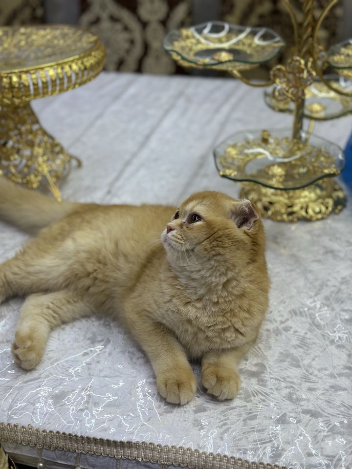200 USD