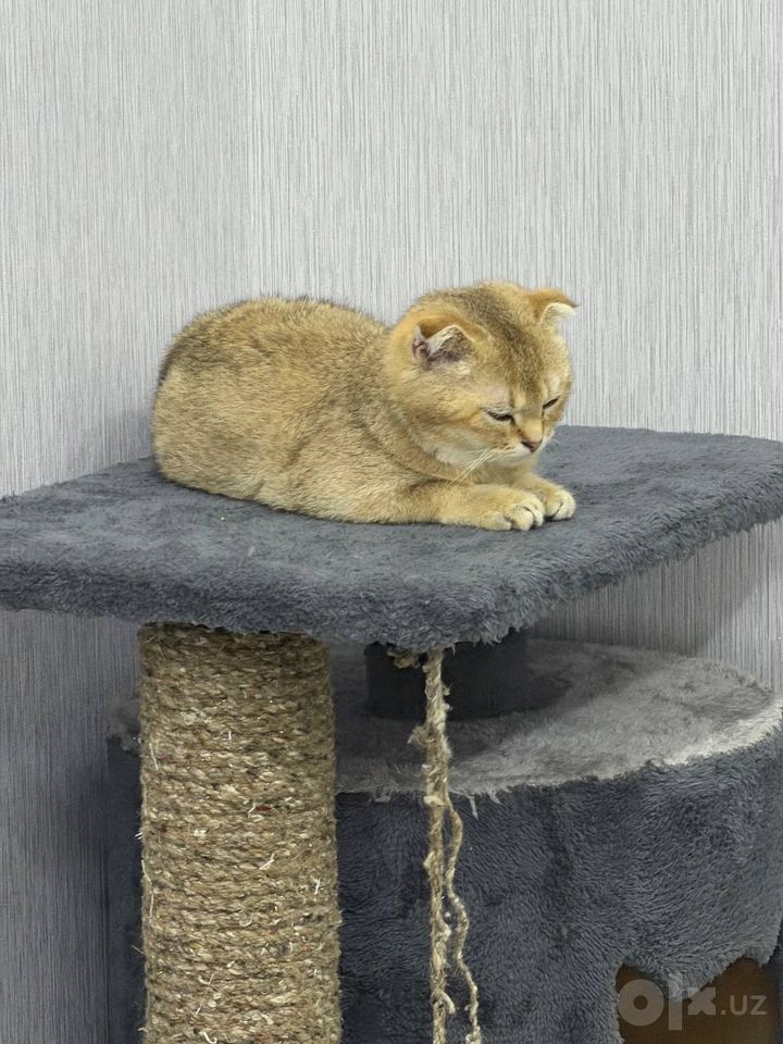 140 USD