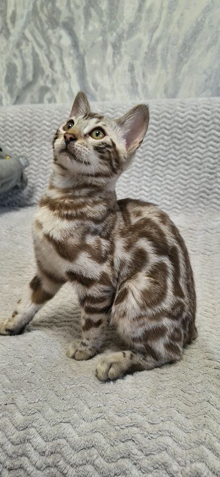 350 USD