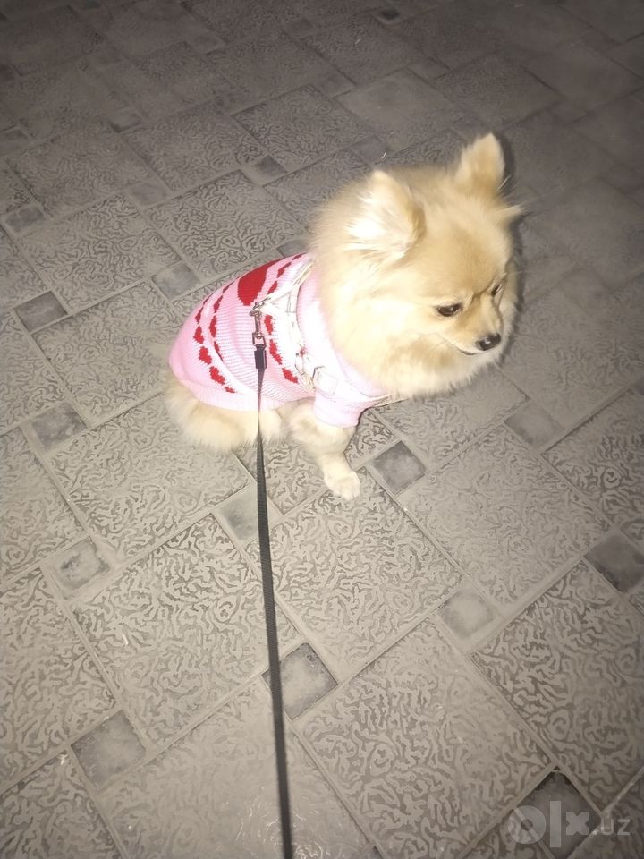 500 000 сум