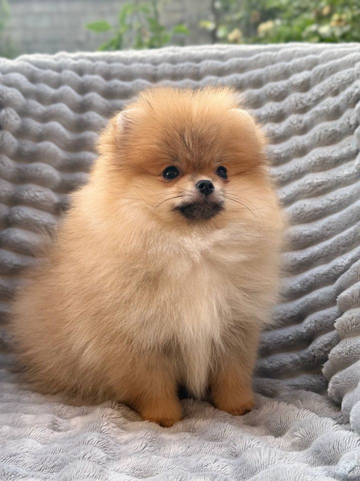 700 USD