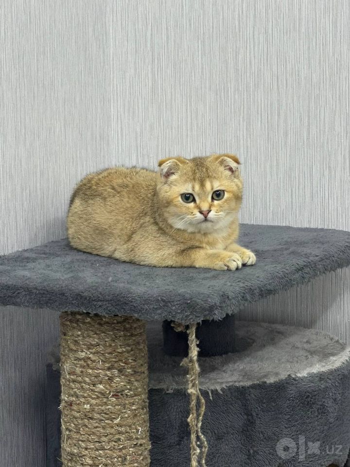 140 USD