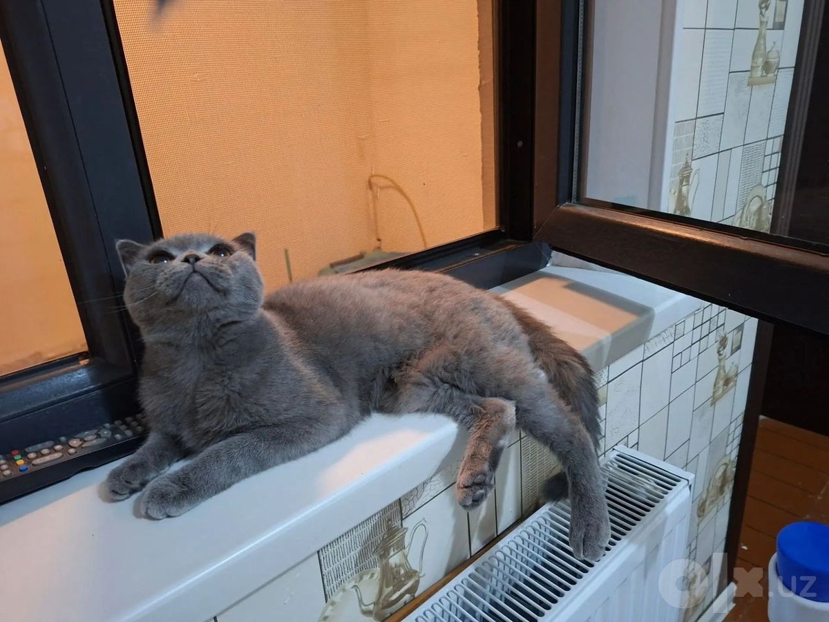 1 000 000 сум