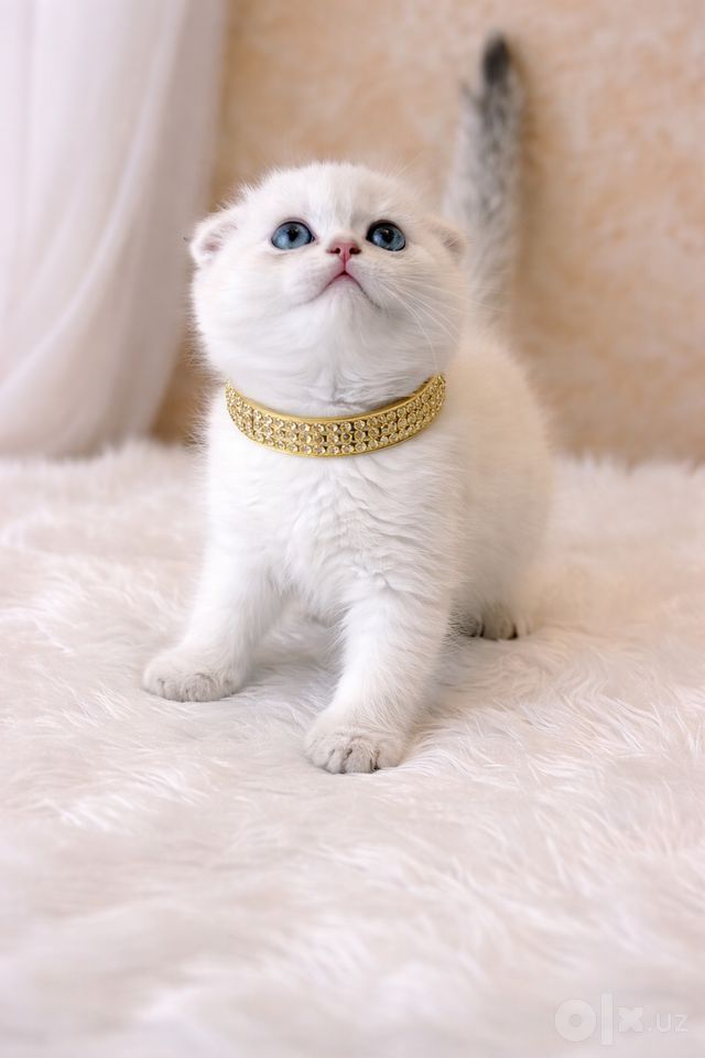 150 USD