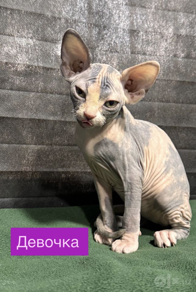 1 200 000 UZS