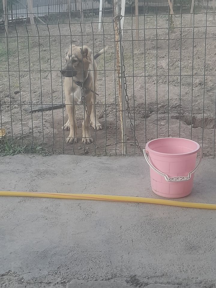 2 000 000 сум