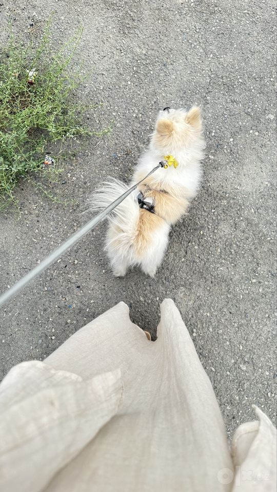 4 000 000 сум