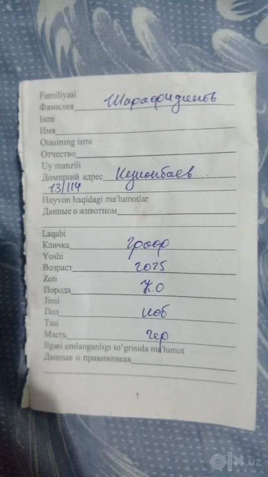 800 000 сум