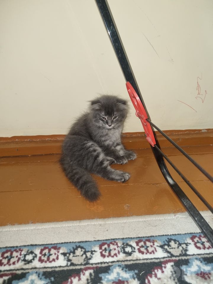 1 000 000 сум