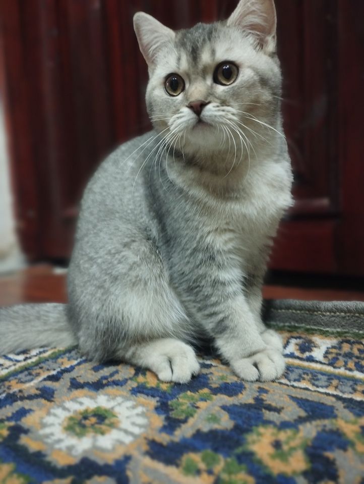 500 000 UZS