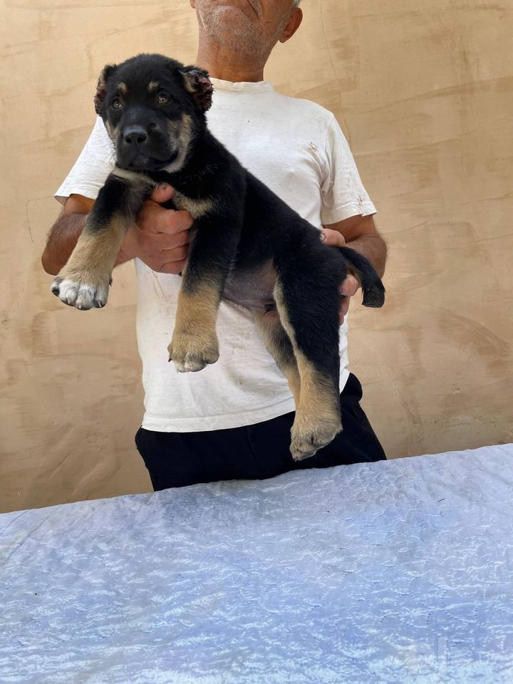 130 USD