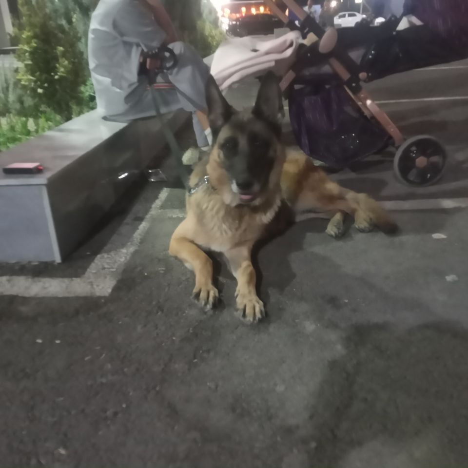 11 000 000 сум