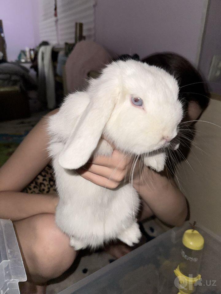 350 000 сум