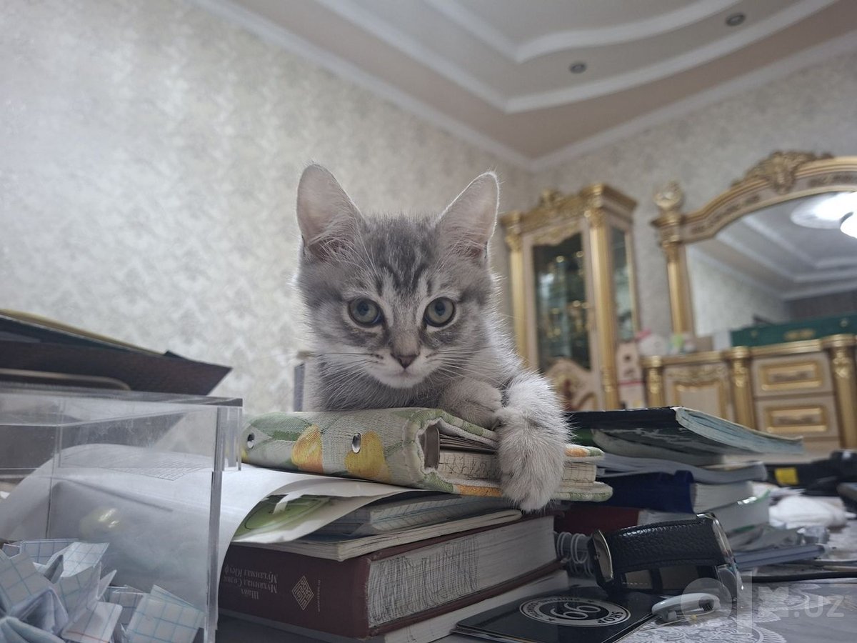 600 000 сум