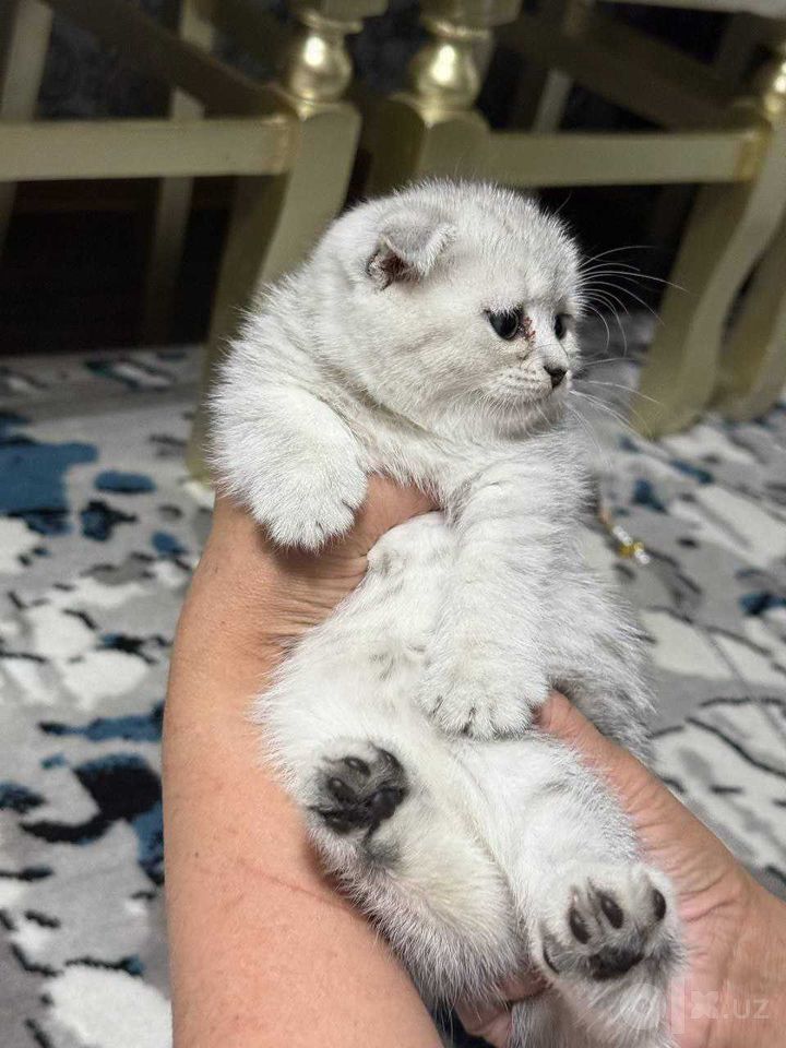120 USD
