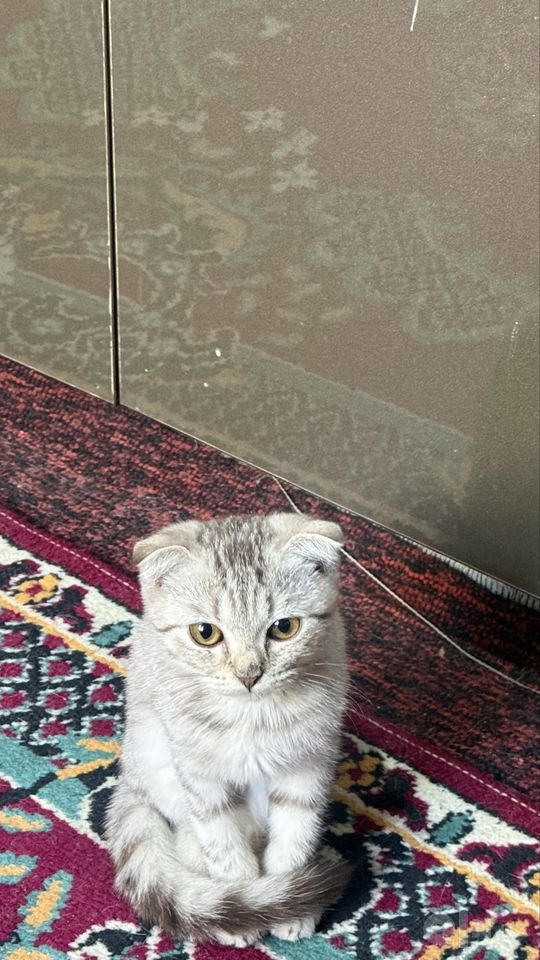 450 000 сум