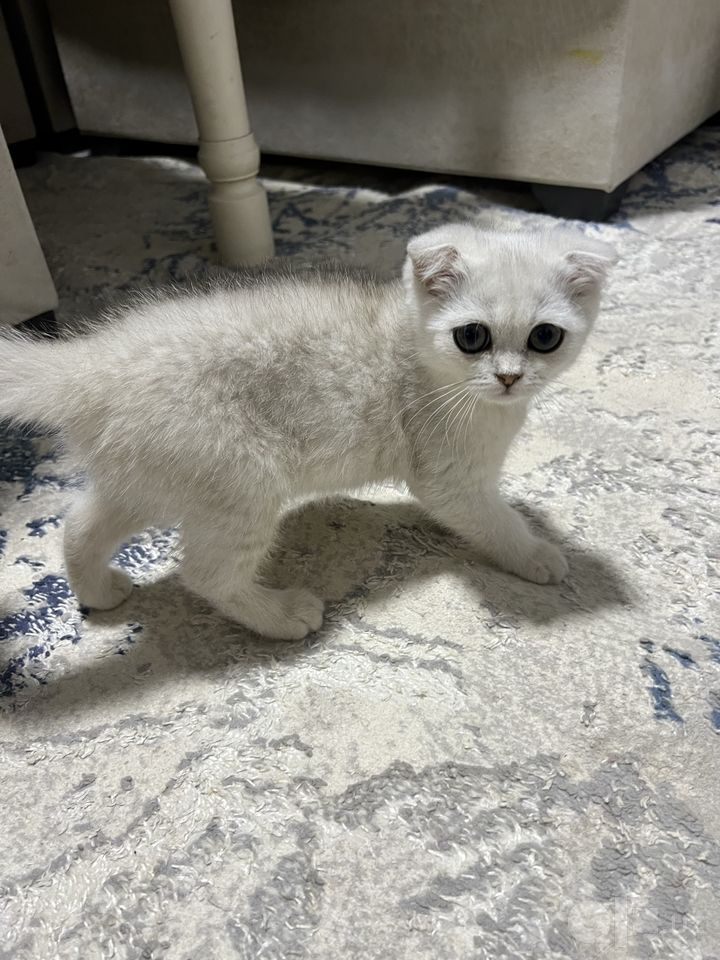 1 700 000 сум