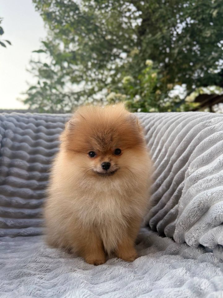 700 USD