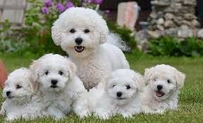 400 USD
