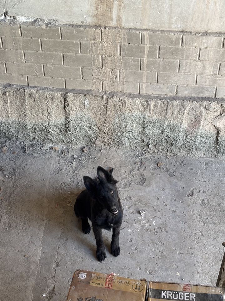 250 USD