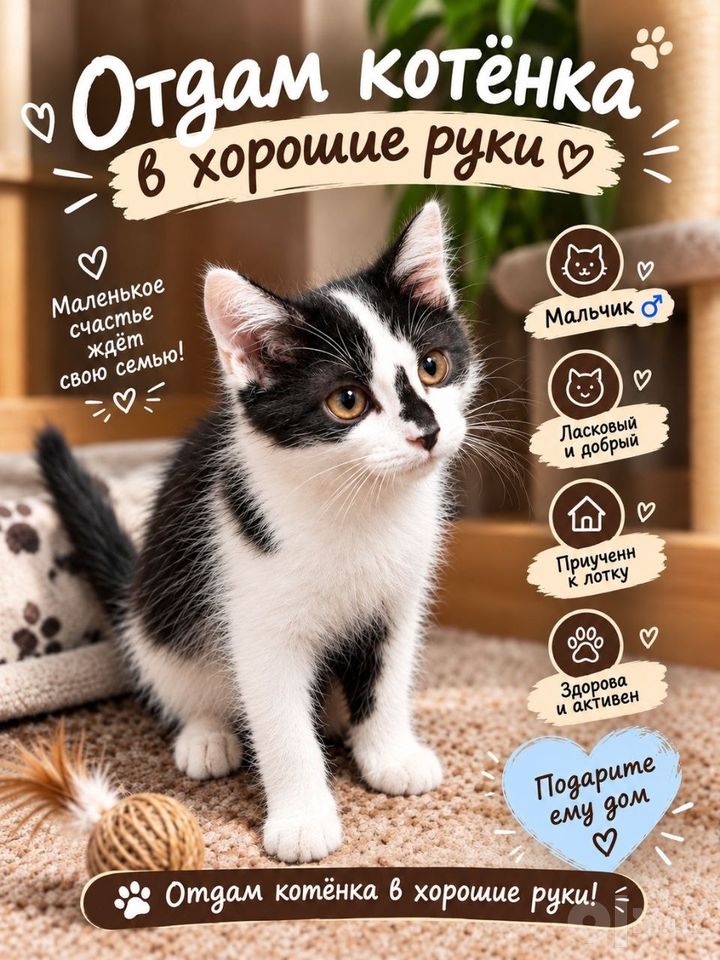 Бесплатно