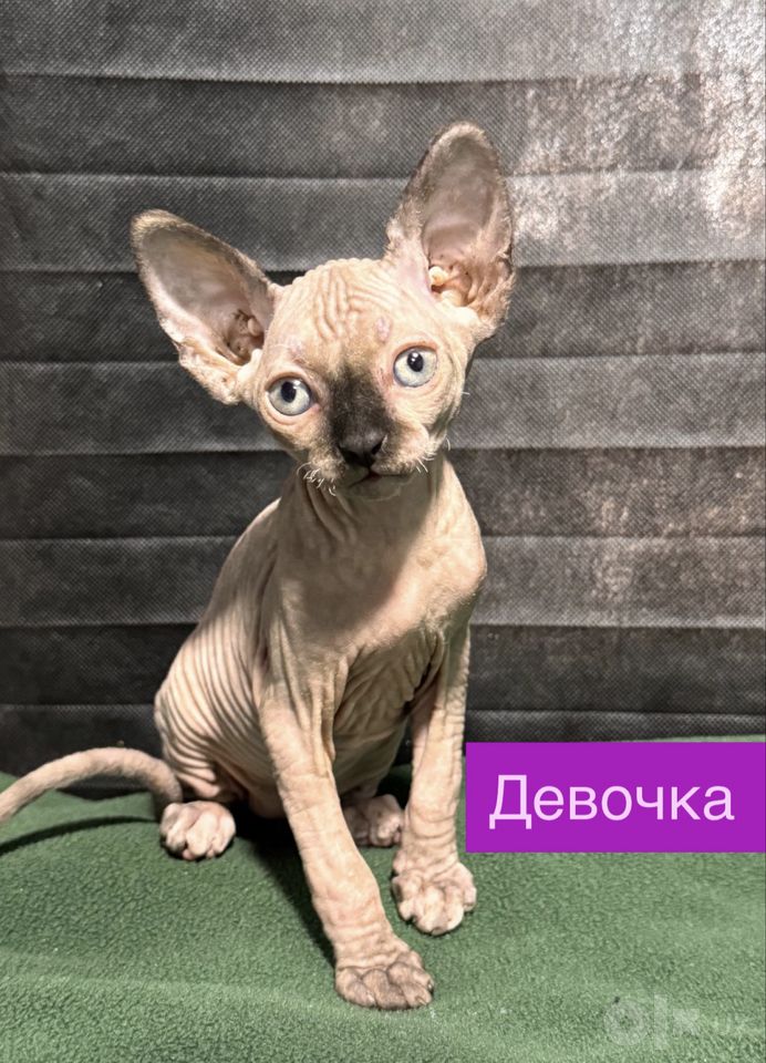 1 200 000 UZS