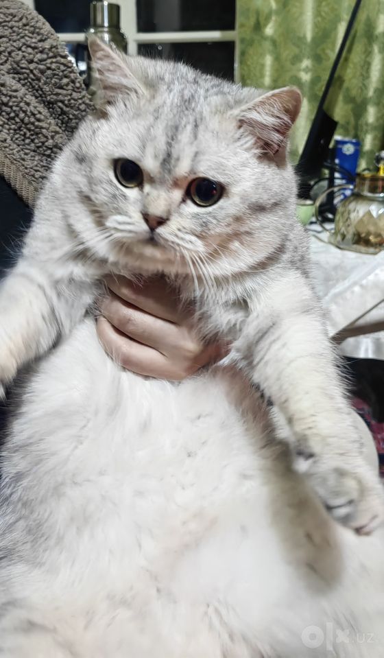 120 USD