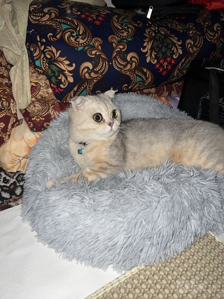 750 000 сум