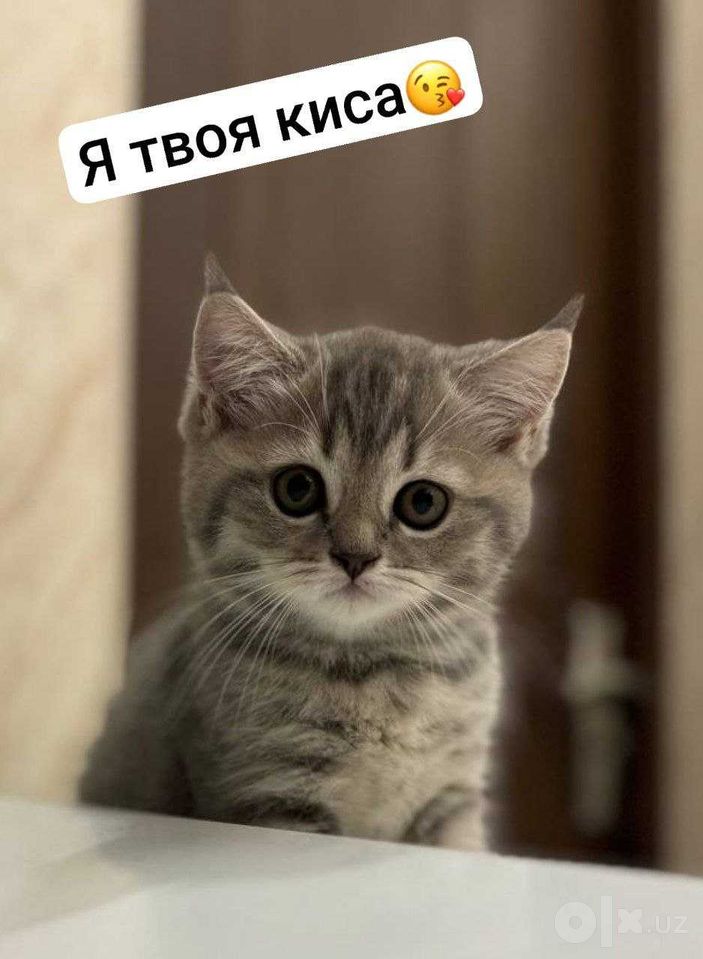 150 USD