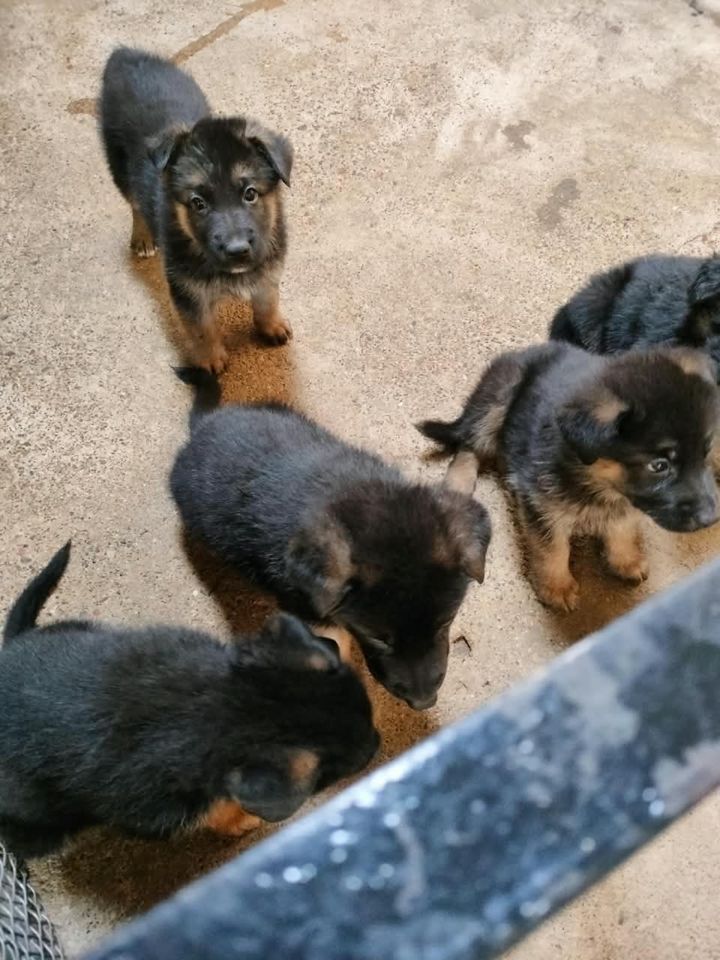 1 000 000 сум