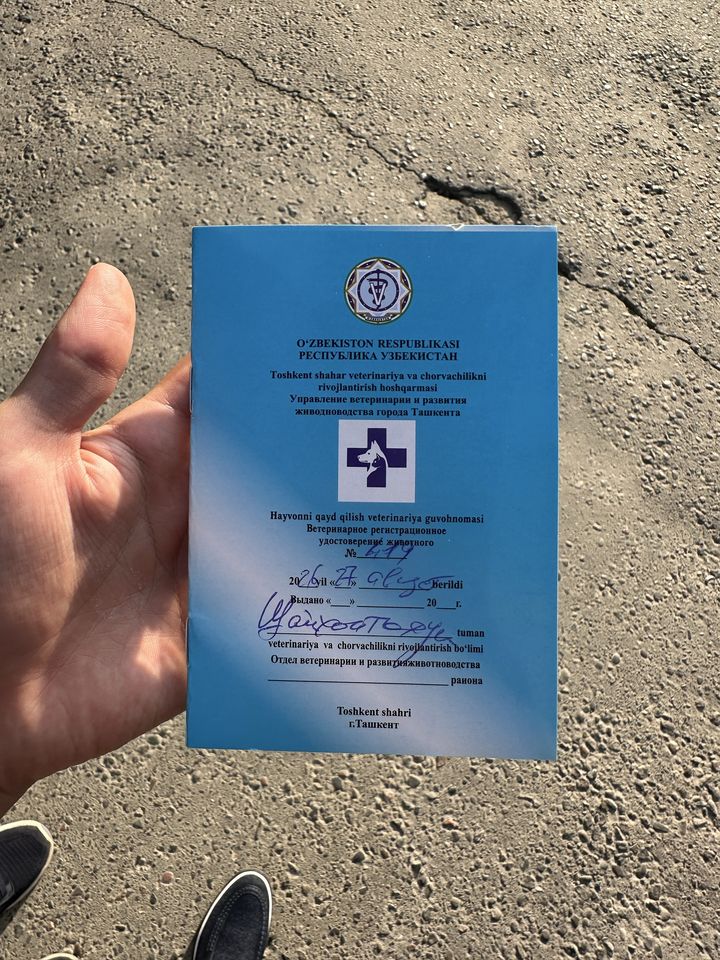 200 USD