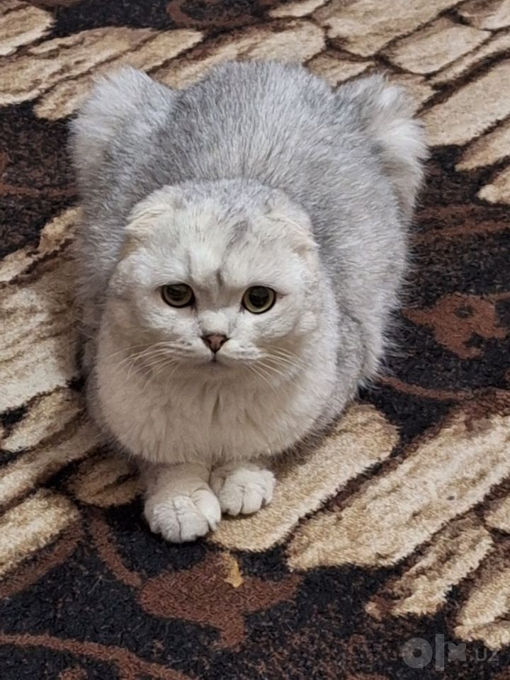 150 USD