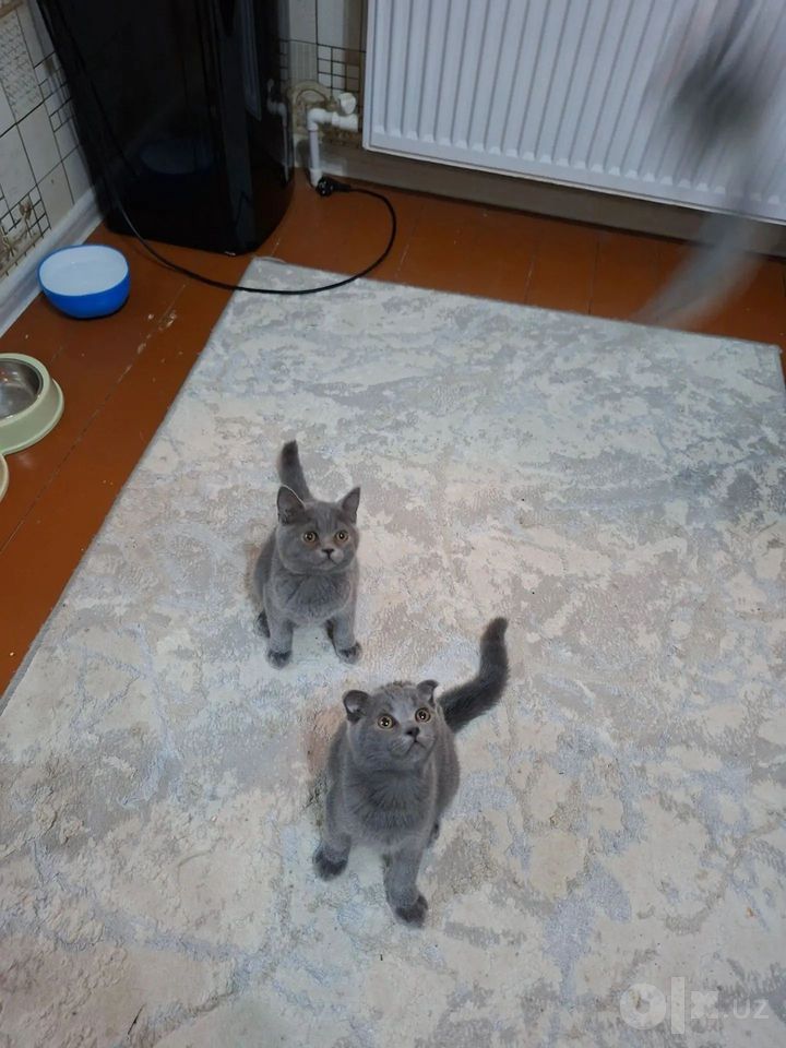 1 000 000 сум