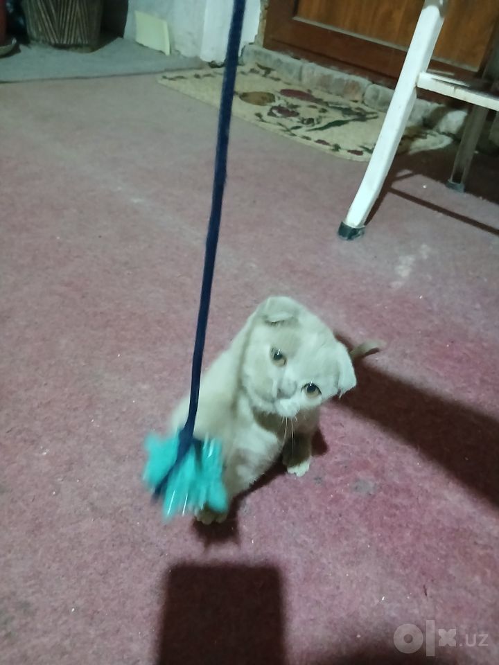 1 000 000 сум