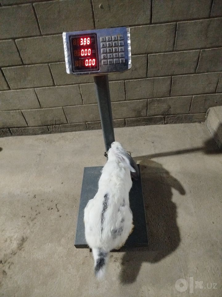 300 000 сум