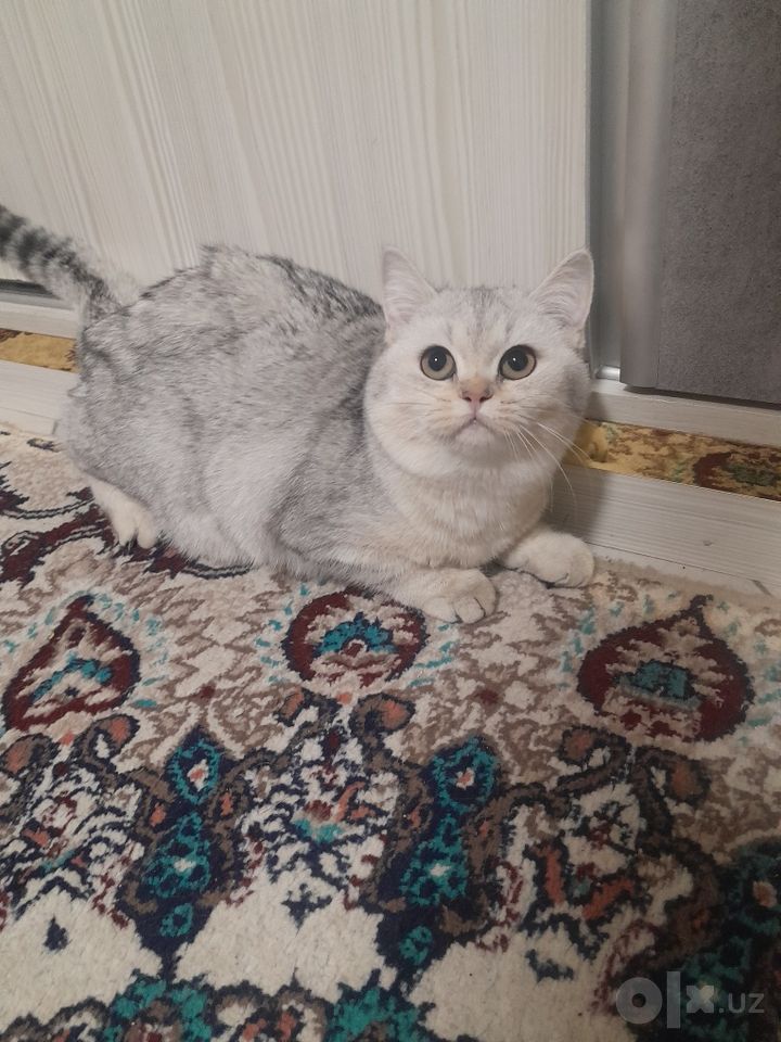1 000 000 сум