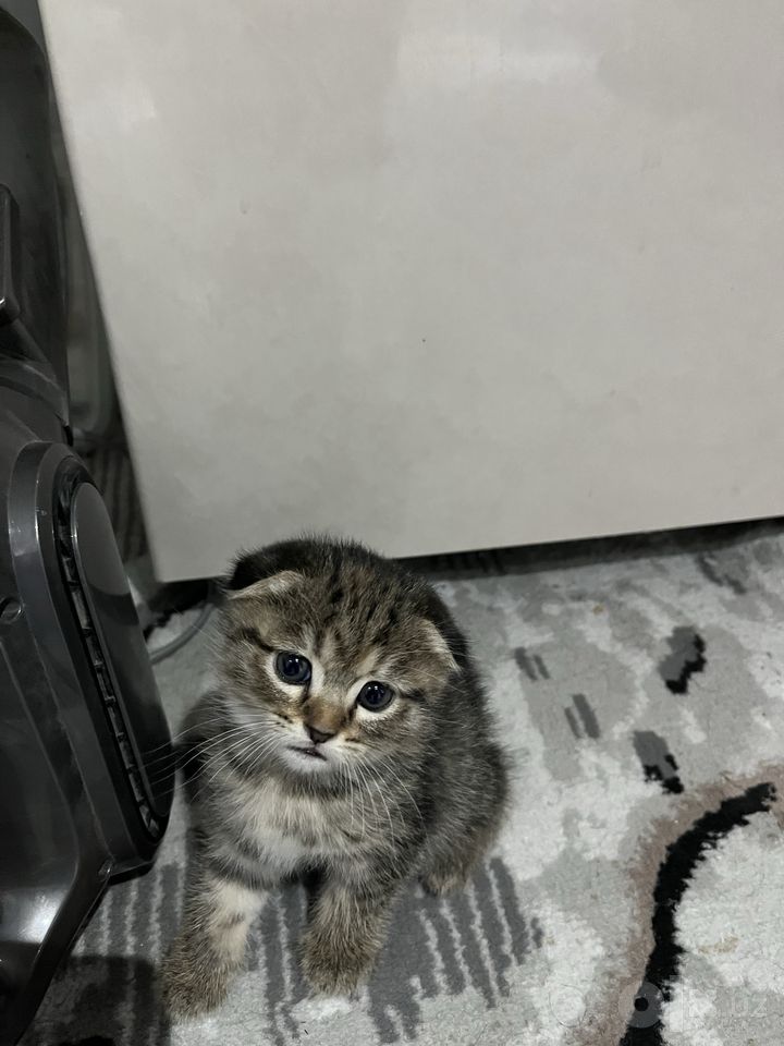 1 000 000 сум
