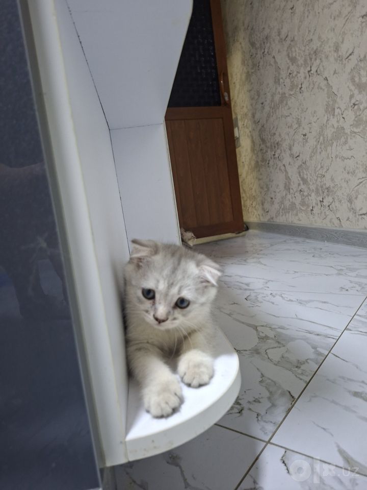 500 000 сум