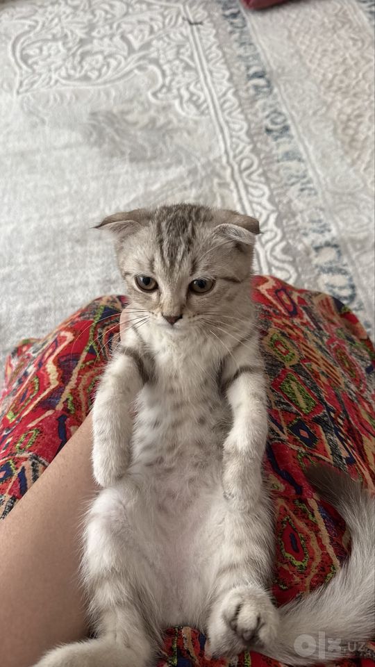 450 000 сум