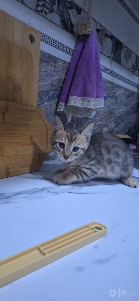 500 000 сум