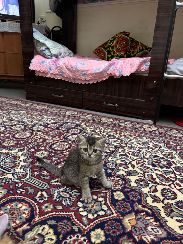 90 USD
