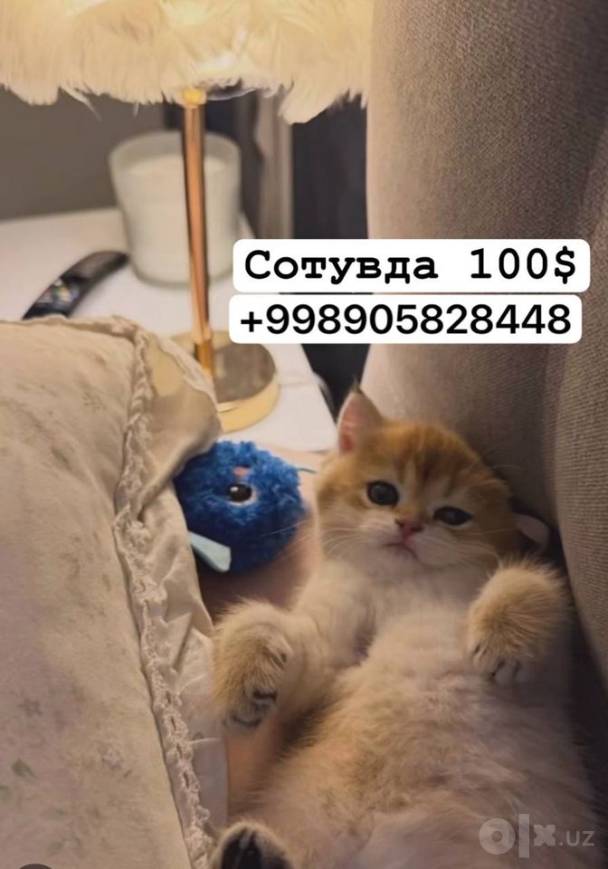 150 USD