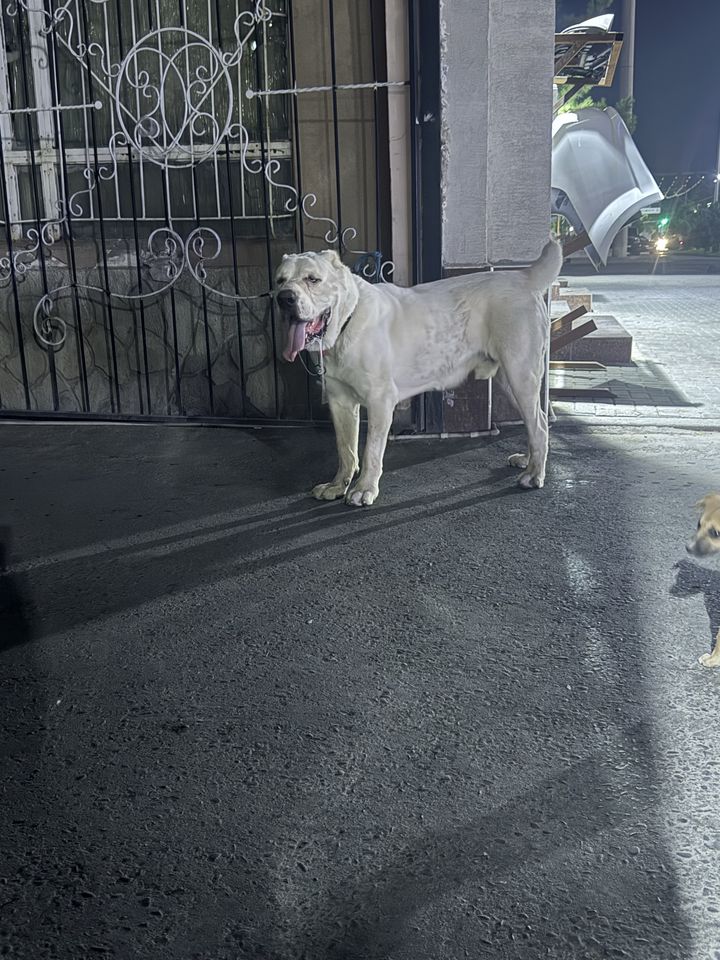 500 USD